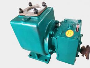 小型(xing)灑水泵